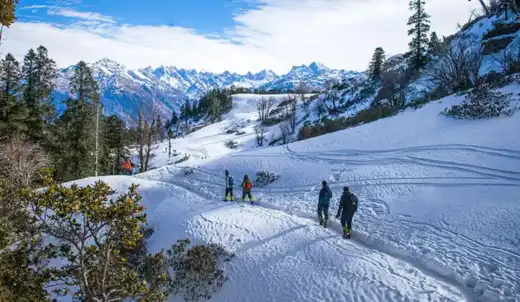 Himachal Tour Packages Including Dalhousie & Dharamshala