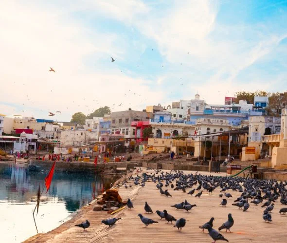 jaipur-pushkar-3-nights-4-days