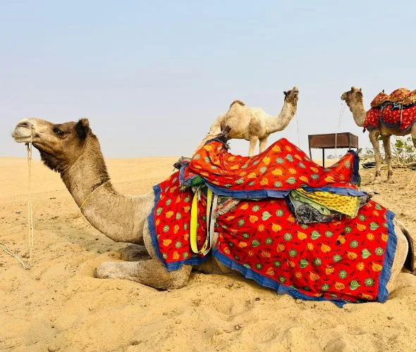 jaisalmer-jodhpur-3-nights-4-days-package