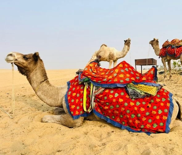 jaisalmer-sam-dunes